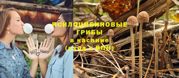прущая мука Волоколамск
